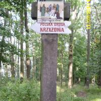 , Marcin M