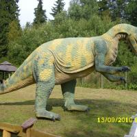 , Marcin M