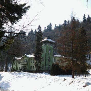 , mokunka