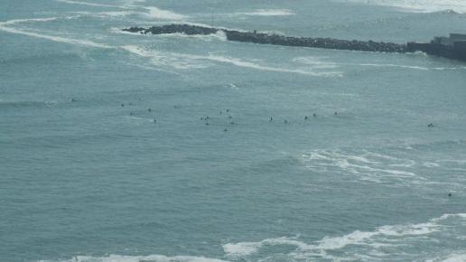 Surfingowcy na Pacyfiku, Tadeusz Walkowicz