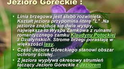 , Barsolis Karol Turysta Kulturowy