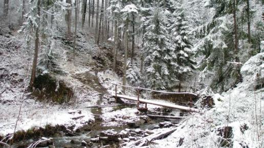 Początek żółtego szlaku w str.H.Miziowej, DoRi