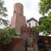 Zamek Łagów, Barsolis Karol Turysta Kulturowy