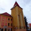 , Barsolis Karol Turysta Kulturowy