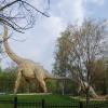 Park Wrocławski w Lubinie, Barsolis Karol Turysta Kulturowy