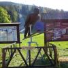 Skocznie w Harrachov, Danusia