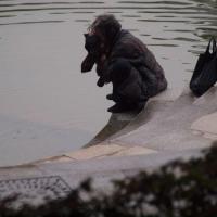 Poranek w Guilin, Tadeusz Walkowicz