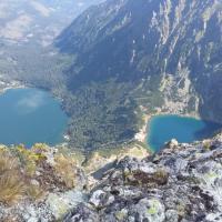Morskie i Czarny, DoRi