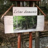 ścieżka spacerowa'Leśne dumanie', mokunka