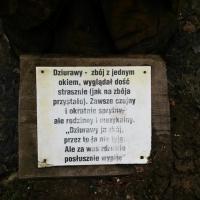 , mokunka