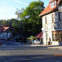 Ulice Harrachov, Danusia