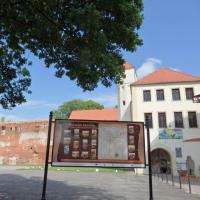 , Barsolis Karol Turysta Kulturowy