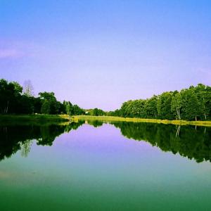 Zalew Skowronek w Alwerni