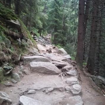 Szlak do Popradskiego Plesa, DoRi