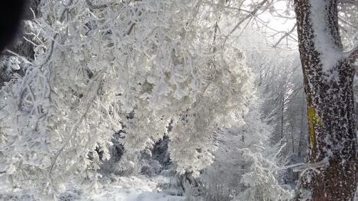 Mrozik trzyma jest dobrze :), DoRi