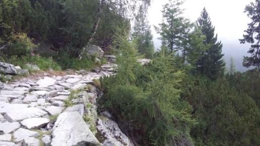 Szlak czerwony do schroniska, DoRi
