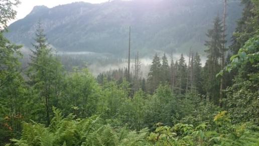 Schr. w Dol.Roztoki, DoRi