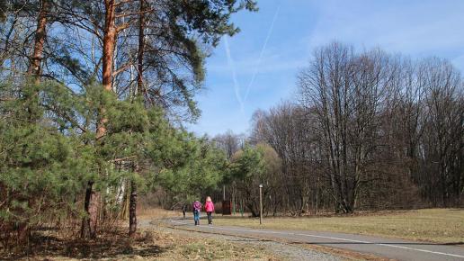 Park Śląski