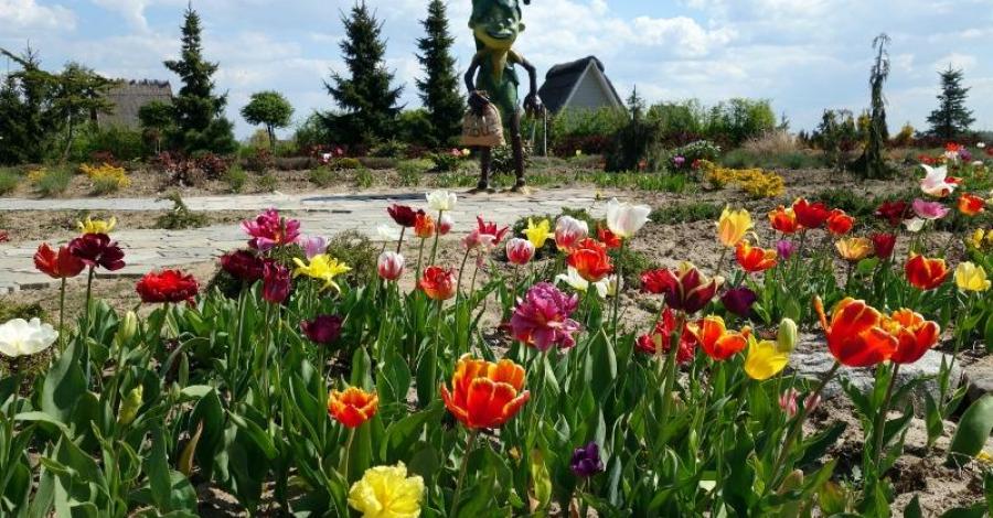 Ogrody Hortulus w Dobrzycy - zdjęcie