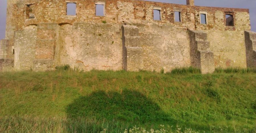 Zespół parkowo-pałacowy w Świerklańcu, zamek w Siewierzu - zdjęcie