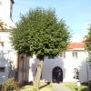 , mokunka