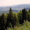 Jaworzyna Krynicka, Anja