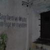 , polonus1