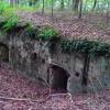 , polonus1