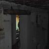 , polonus1