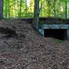 , polonus1