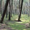 , Sławko