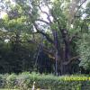 , Marcin M