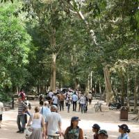 30.12.2012r. Angkor Wat, Tadeusz Walkowicz