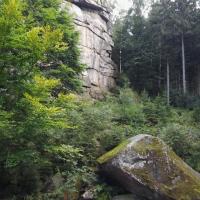 , mokunka
