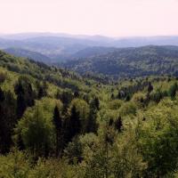 Jaworzyna Krynicka, Anja