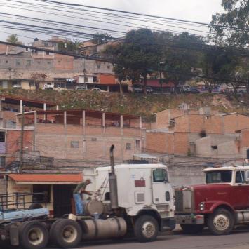 Wyjazd do Copan, Tadeusz Walkowicz