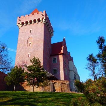 zamek Przemysla II na Wzgorzu Przemysla, Barsolis Karol Turysta Kulturowy