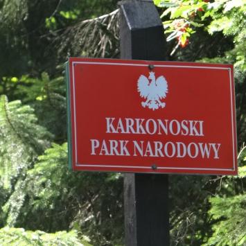 , Margaretka