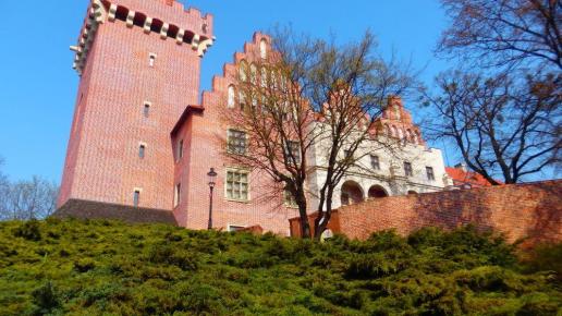 , Barsolis Karol Turysta Kulturowy