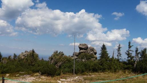 , mokunka