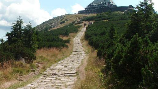 , mokunka
