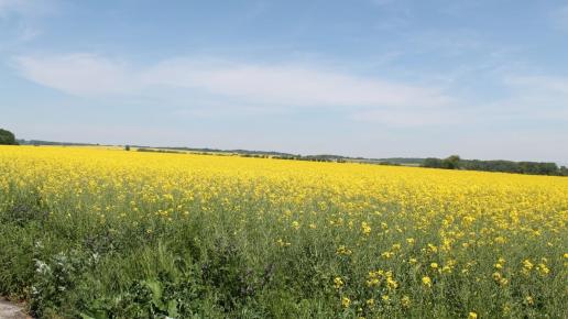 , Sławko