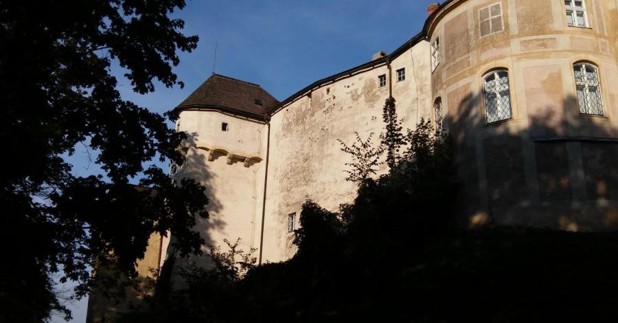 Zamek Javornik czyli na polsko-czeskim pograniczu - zdjęcie