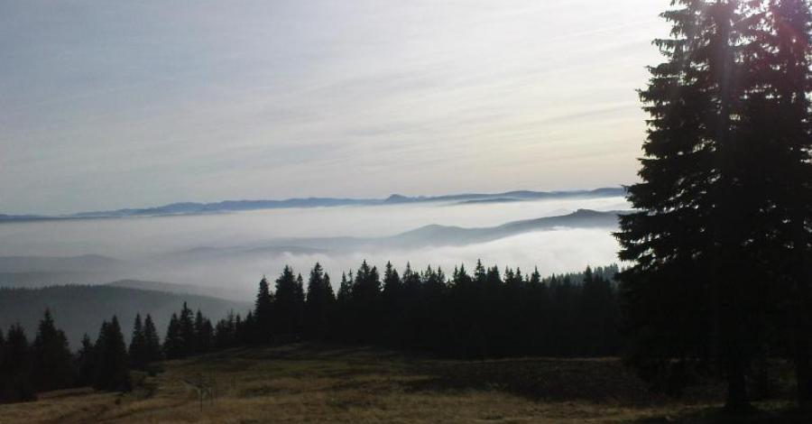 Rysianka z Żabnicy - zdjęcie