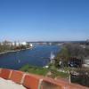 , Margaretka