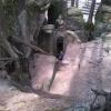 , marian