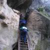 , marian