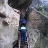 , marian
