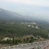 , marian