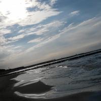 , mokunka